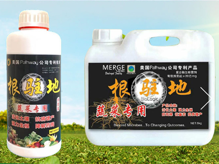 欧博游戏科技有限公司